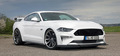 Tuning - Ford Mustang SF700: White Beauty mit 700-Kompressor-PS