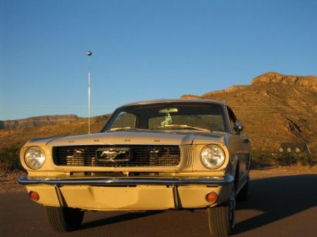 Name: Ford-Mustang1.jpg Größe: 450x337 Dateigröße: 23378 Bytes