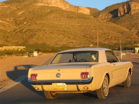 Name: Ford-Mustang3.jpg Größe: 450x337 Dateigröße: 32175 Bytes