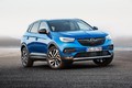 Erlkönige + Neuerscheinungen - Eyecatcher Opel Grandland X: Der sticht aus der Masse heraus