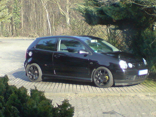weitere VW Polo 9N