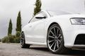 Tuning + Auto Zubehör - CORNICHE ARROWS für den Audi RS5
