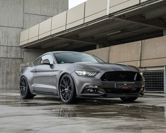 Name: Barracuda_UP2_Mustang_LAE_01.jpg Größe: 1600x1280 Dateigröße: 248515 Bytes