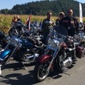 Motorrad - [ Video ] European Bike Week: Das Harley Davidson Treffen des Jahres