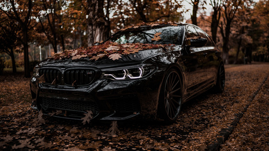 Name: BMW-M5-ZPFORGED17-BRGB-1.jpg Größe: 1024x576 Dateigröße: 247148 Bytes