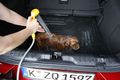 Auto - Ford Puma: Mein wunderbarer Hunde-Waschsalon
