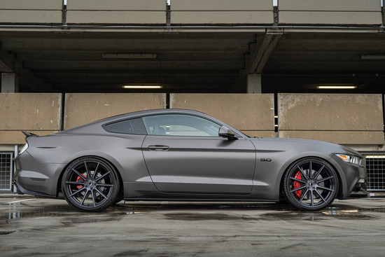 Name: Barracuda_UP2_Mustang_LAE_02.jpg Größe: 1600x1067 Dateigröße: 194437 Bytes