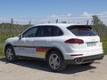 Fahrbericht - Eco Rallye: Mit dem Porsche Cayenne auf Sparflamme unterwegs