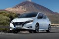 Elektro + Hybrid Antrieb - Leasing-Angebot für Nissan Leaf e+