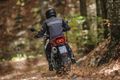 Motorrad - Moto Guzzi V85 TT: Fit für jedes Gelände