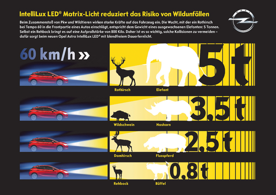 Name: Opel-IntelliLux-LED-Matrix-Light-Wildunfaelle-298505.jpg Größe: 3564x2520 Dateigröße: 3207293 Bytes