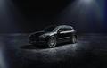 Luxus + Supersportwagen - Für einen stilvollen Auftritt: die Cayenne Platinum Edition