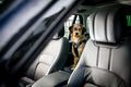 Auto Ratgeber & Tipps - Entspannter Urlaub mit Hund