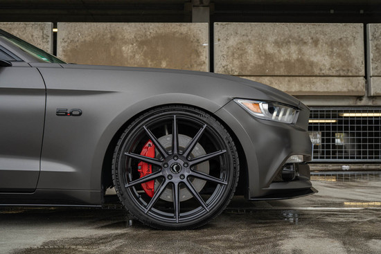 Name: Barracuda_UP2_Mustang_LAE_05.jpg Größe: 1600x1067 Dateigröße: 224944 Bytes