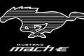 Erlkönige + Neuerscheinungen - Elektro-Mustang Mach-E feiert Premiere