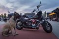 Motorrad - Harley-Davidson wird Partner beim größten Heavy-Metal-Festival