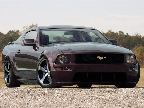 Name: Ford-Mustang-2005-009_copy.jpg Größe: 1600x1200 Dateigröße: 979760 Bytes