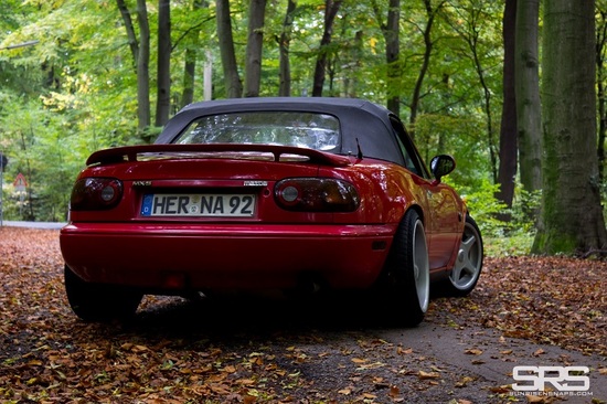 Name: 11303.jpg Größe: 800x533 Dateigröße: 256919 Bytes