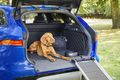 Auto Ratgeber & Tipps - So reisen Haustiere sicher mit