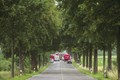 Auto Ratgeber & Tipps - Bäume als tödliche Gefahr für Autofahrer