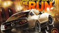 Lifestyle - EA lässt Gamer um ihr Leben fahren - mit der Demo von Need for Speed The Run