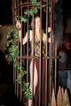 Name: games_convention_messebabes_2008_017.JPG Größe: 1333x2000 Dateigröße: 911354 Bytes