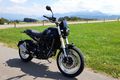 Motorrad - Benelli Leoncino 500 Cross: Der kleine Löwe zeigt die Krallen