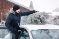 Auto Ratgeber & Tipps - Richtiger Transport vom Weihnachtsbaum